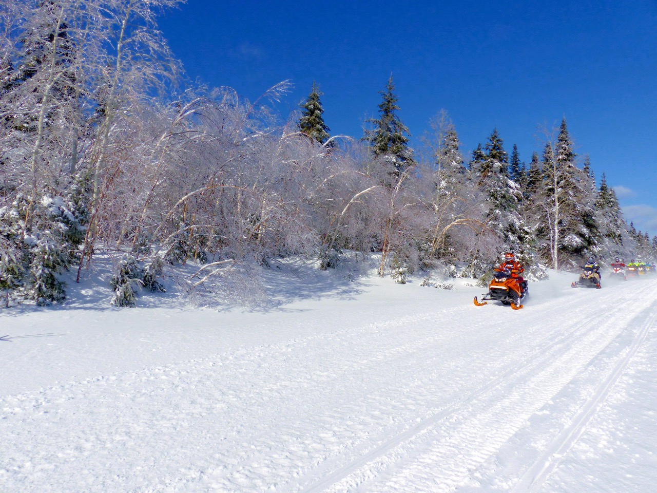 BRP XPS Synthetic Snowmobile Oil Review